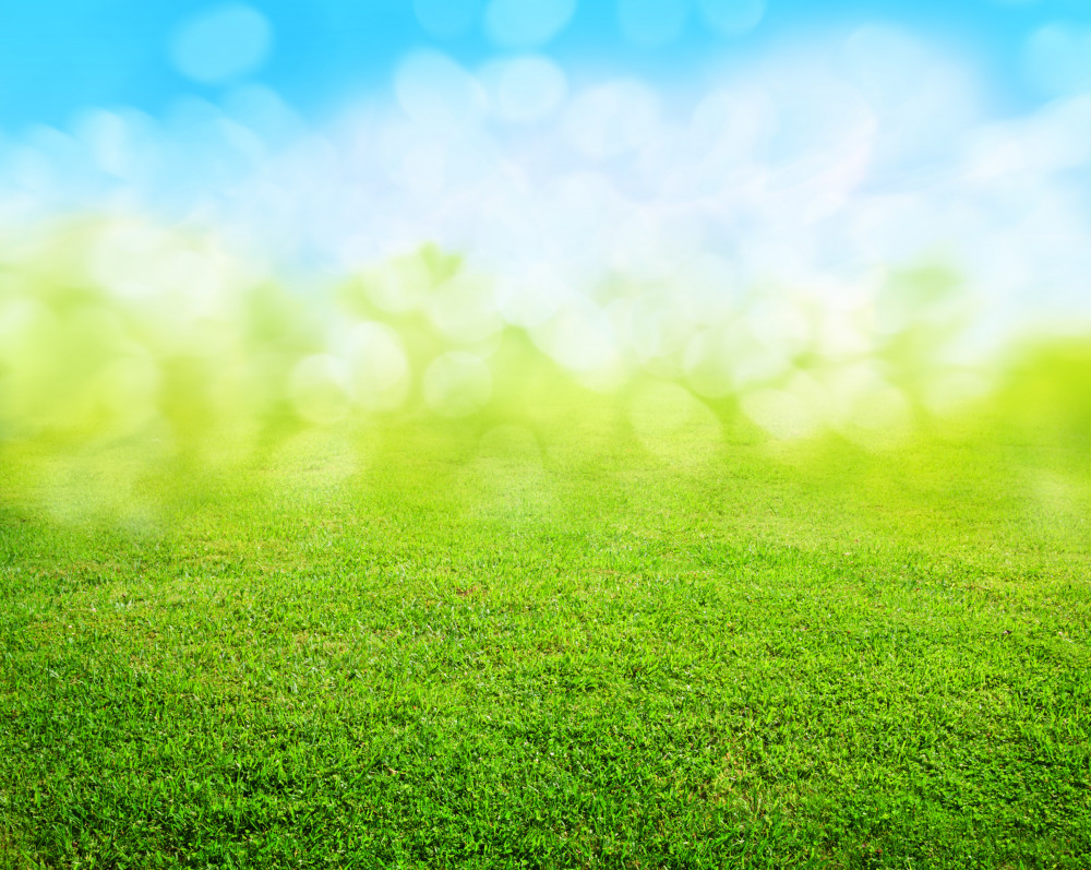 Зеленый паттерн трава размытость